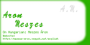aron meszes business card